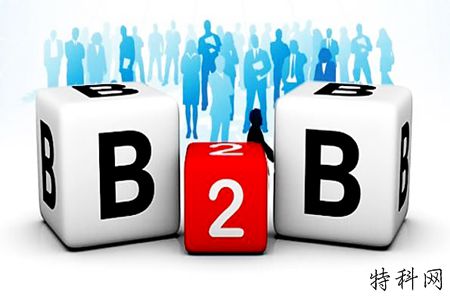 B2B模型网站，怎么做网络优化？ 第1张