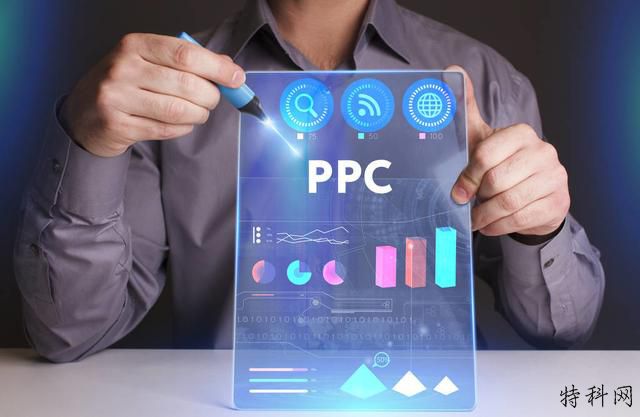 要进行网站排名是选择SEO或PPC 第2张