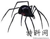 如何让搜索引擎快速抓取网站 第1张
