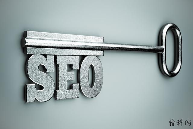要进行网站排名是选择SEO或PPC 第1张