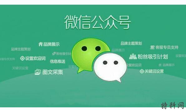网站网址优化原则的几点注意事项 第1张