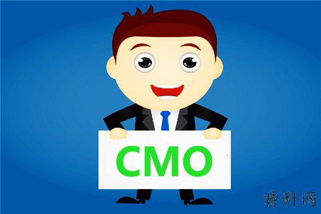 首席营销官是什么意思如何识别SEO？ 第1张