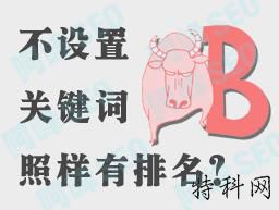 为什么有些网站没有关键词排名仍然不错 第1张