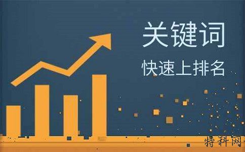 网站的SEO排名波动很大吗？掌握核心优化技能是关键 第2张