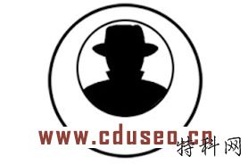 如何编写SEO优化推广计划？ 第1张