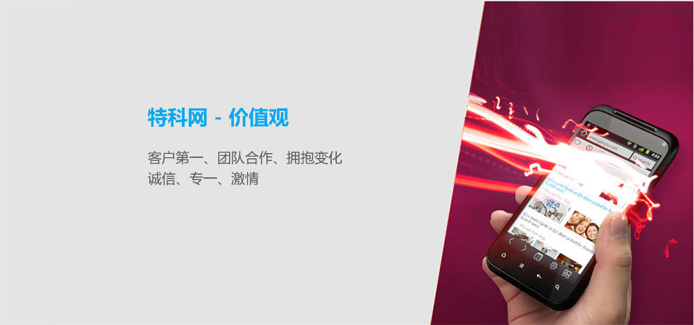 企业价值观(图1)